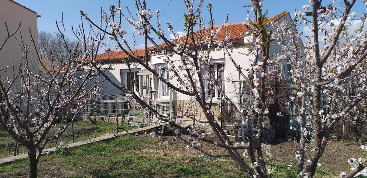 La Maison Du Bonheur * Saint-Laurent-de-la-Salanque